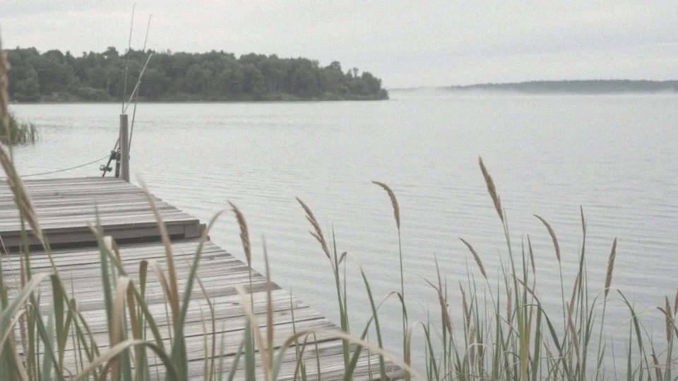 Jakie ryby są najczęściej łowione w Jeziorze Jamno?