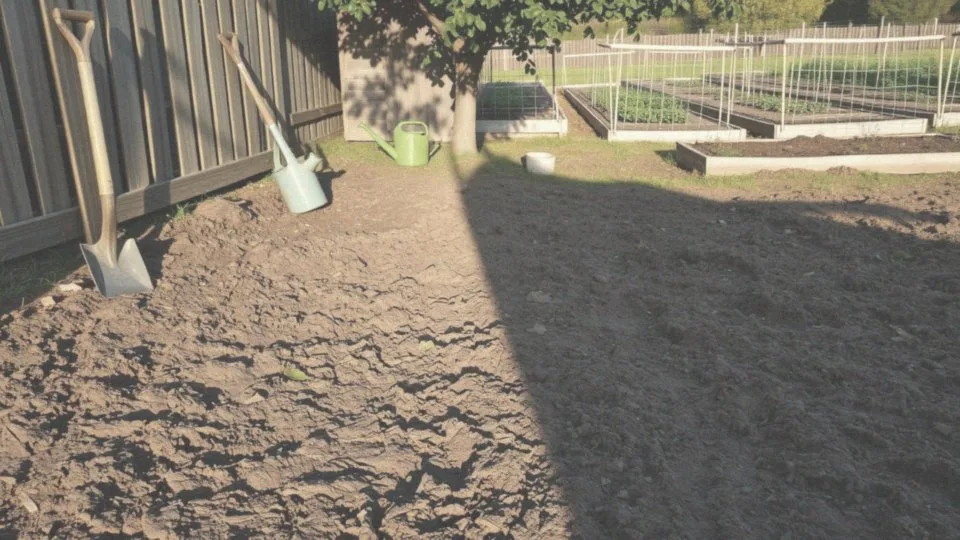 Jak ocenić warunki gleby i klimatu przed urządzaniem działki ogrodowej?