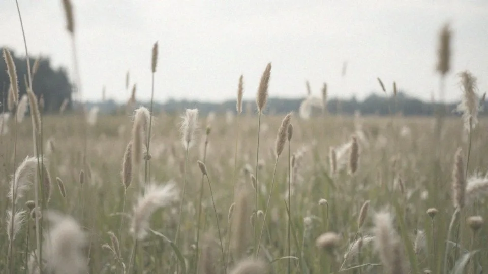 Jakie są główne alergeny we wrześniu?