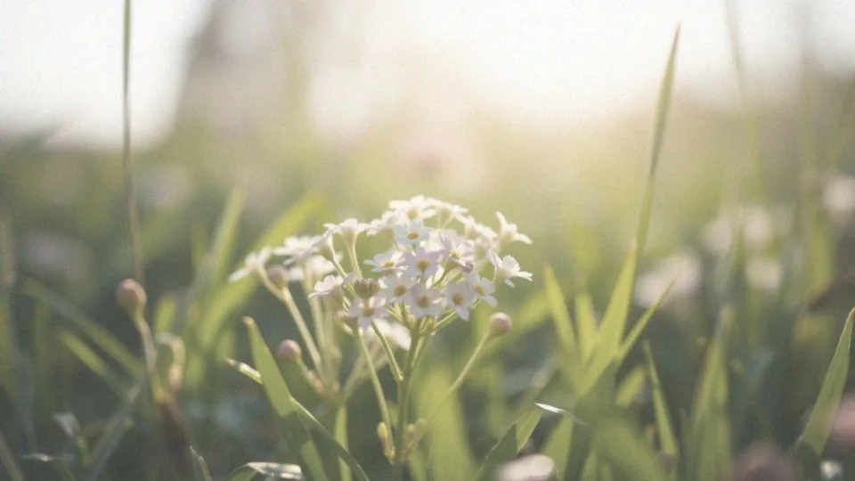 Jakie są przygotowania organizmu na menstruację?