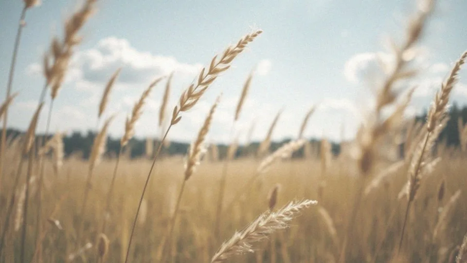 Co pyli w lipcu? Przewodnik po alergenach i objawach alergii