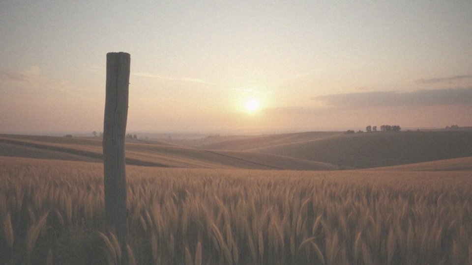 Gdzie jest zachód? Przewodnik po kierunkach i obserwacji zachodu słońca
