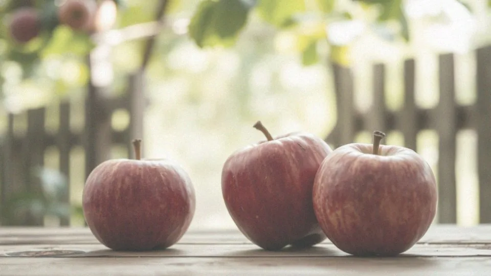 Ile kalorii ma jabłko ze skórką? Wartości odżywcze i korzyści zdrowotne