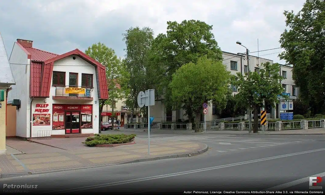 Nabór Wniosków do Nagrody Burmistrza Miasta Lubartów na 2025 Rok