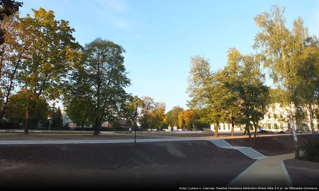 Ankieta dla mieszkańców Lubartowa – diagnoza lokalnych zagrożeń społecznych